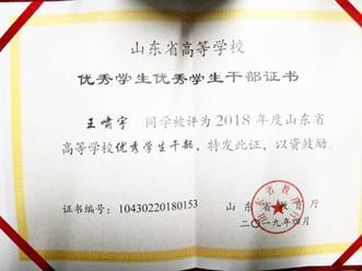 王啸宇