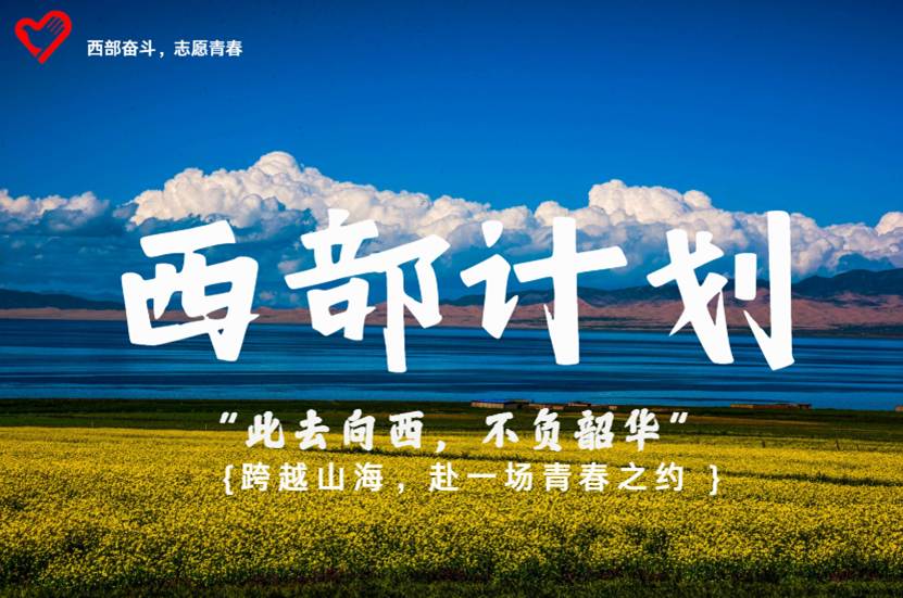 c1e8baa8850d5c4cdca08ea6f07da2cc