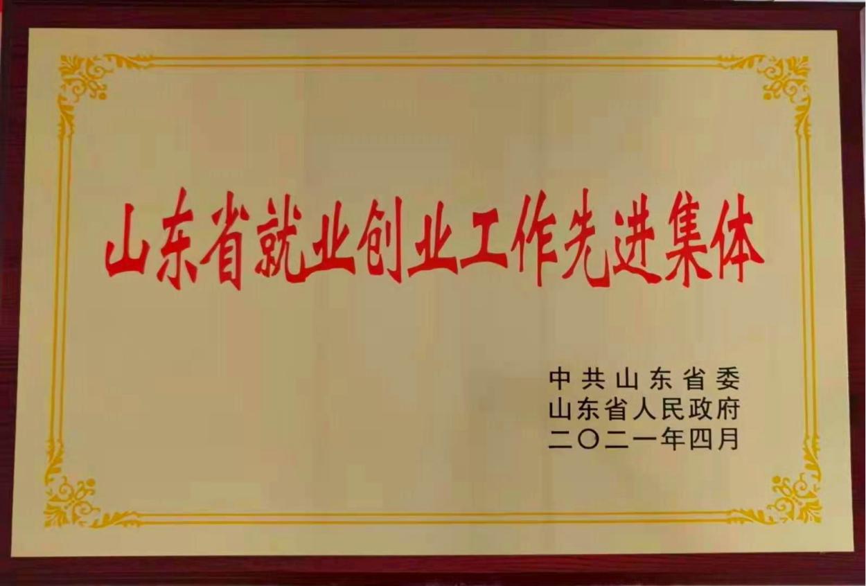 图5：被省委省政府授予山东省就业创业工作先进集体